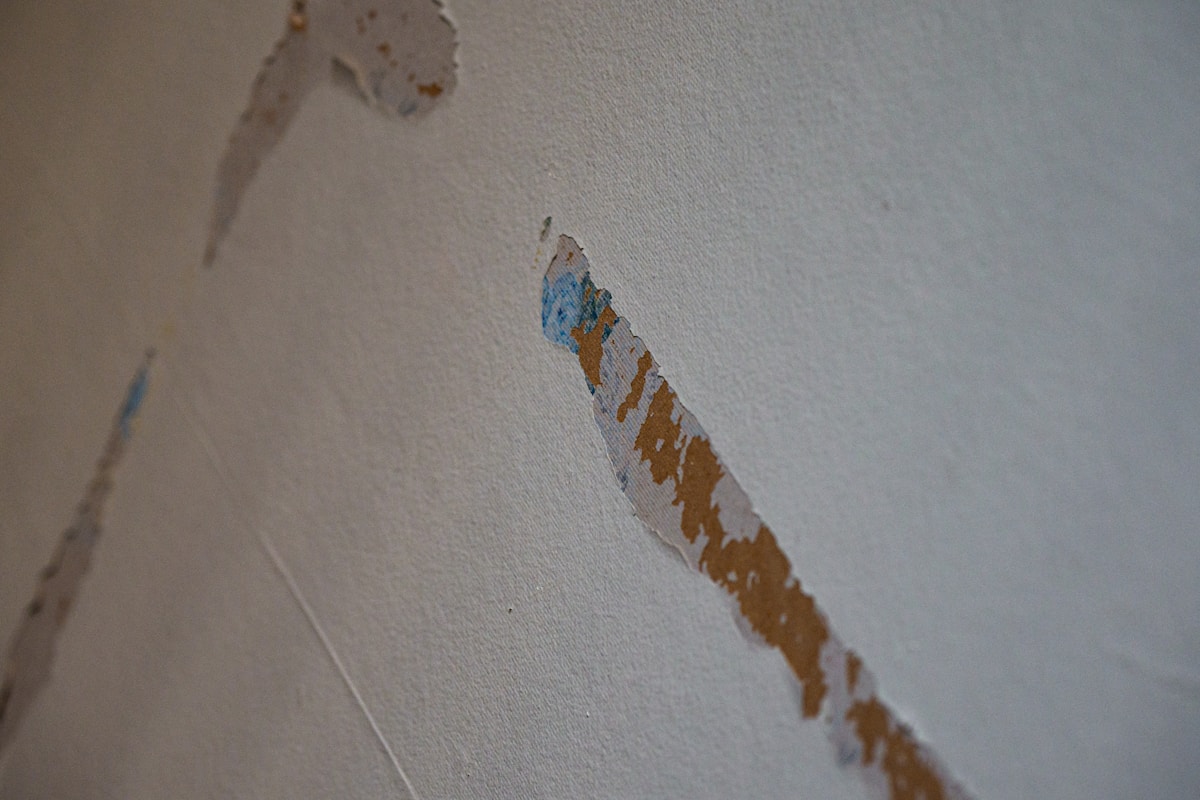 Commercial Water Damage service in Owensboro, KY
